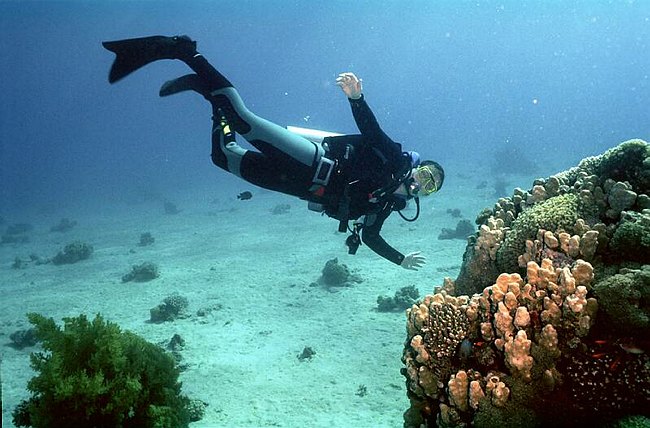 19980202eilat093